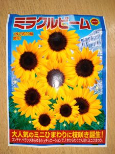 春と言えば・・・　　part２　　　デイケア