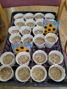 ミラクルビーム🌻観察　　7日目　デイケア